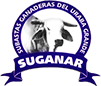 logo-header